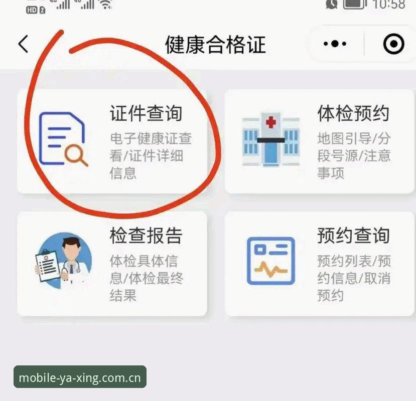 亚星手机版注册流程详解：从入口到使用的完整指南